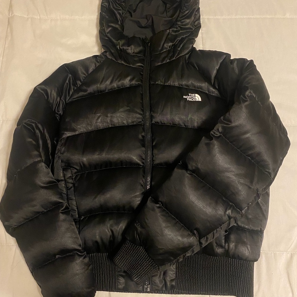 The North Face Hooded Puffer Jacket